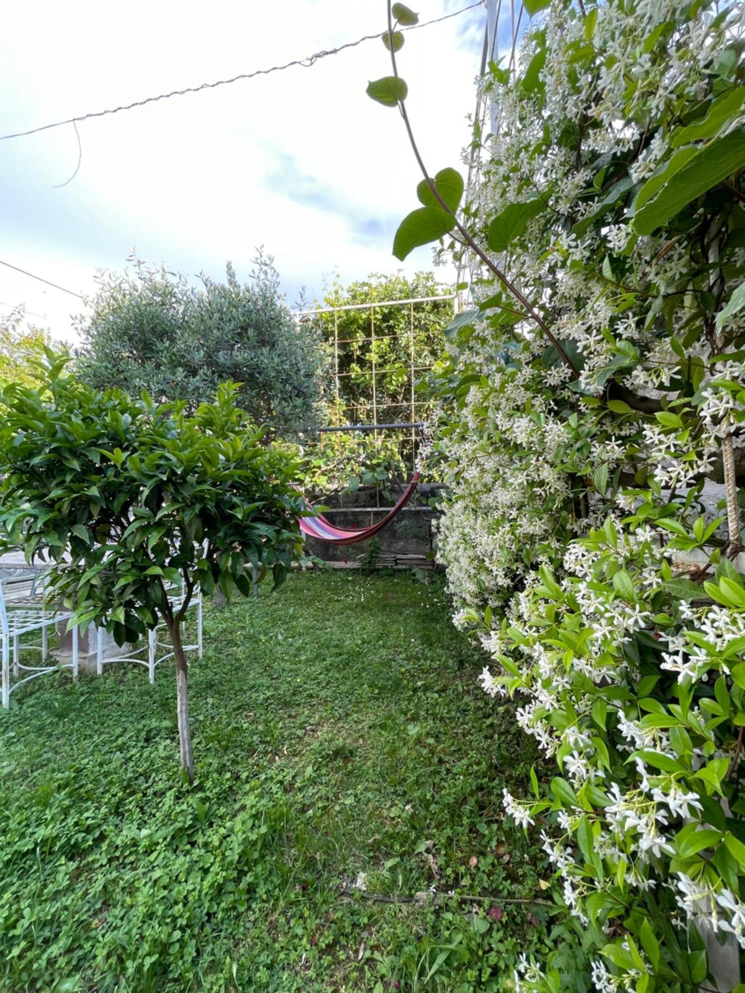 Vila Nela Shkodër Exterior foto